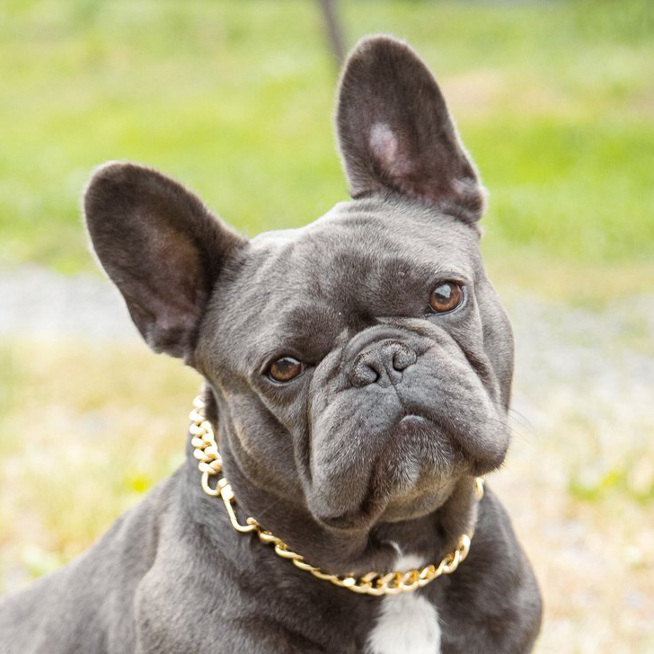 Buster